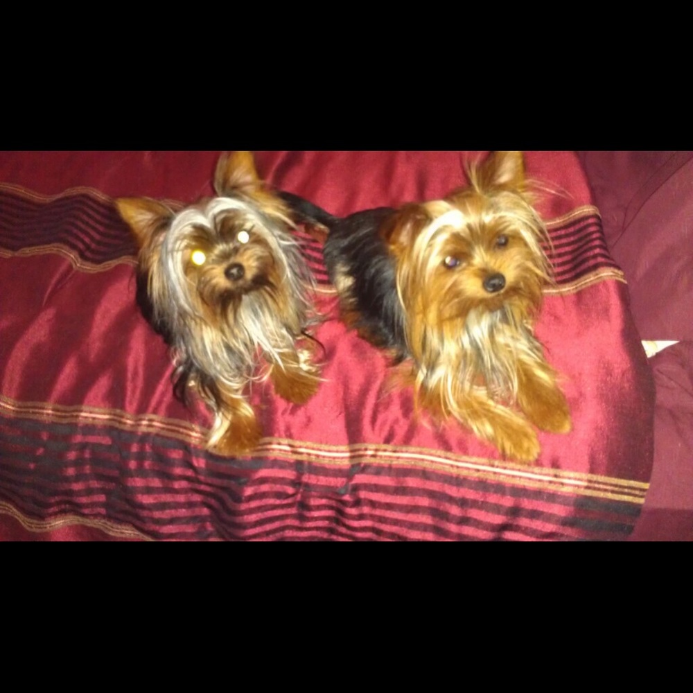 Meet your Posher, Graciela